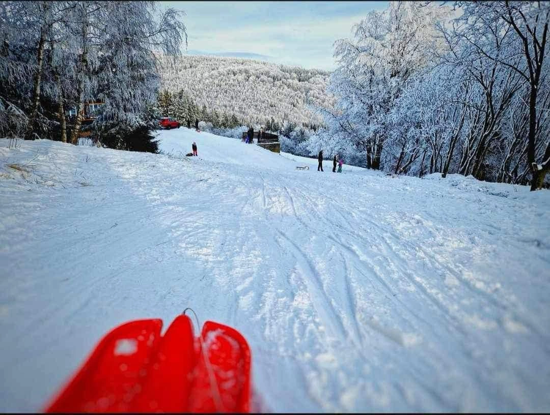 Sjezdové lyžování